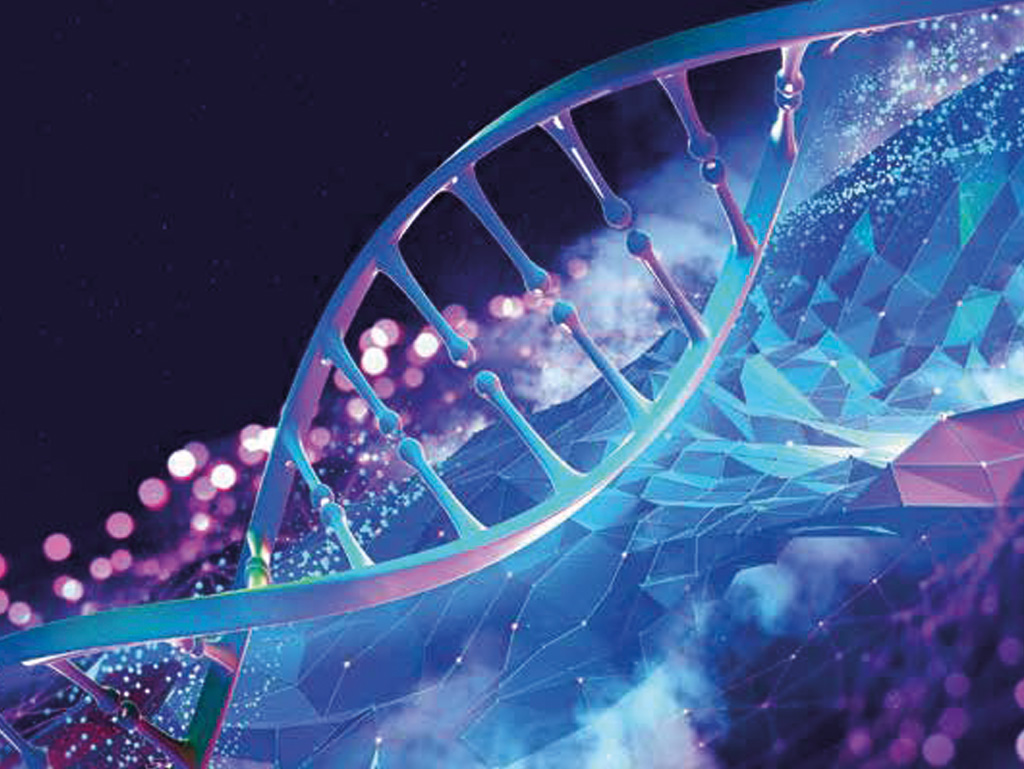Sati Genetic Markers
