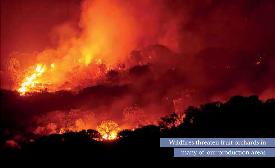 Wildfires