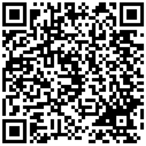 Safj Common Defects Qr Code Xb