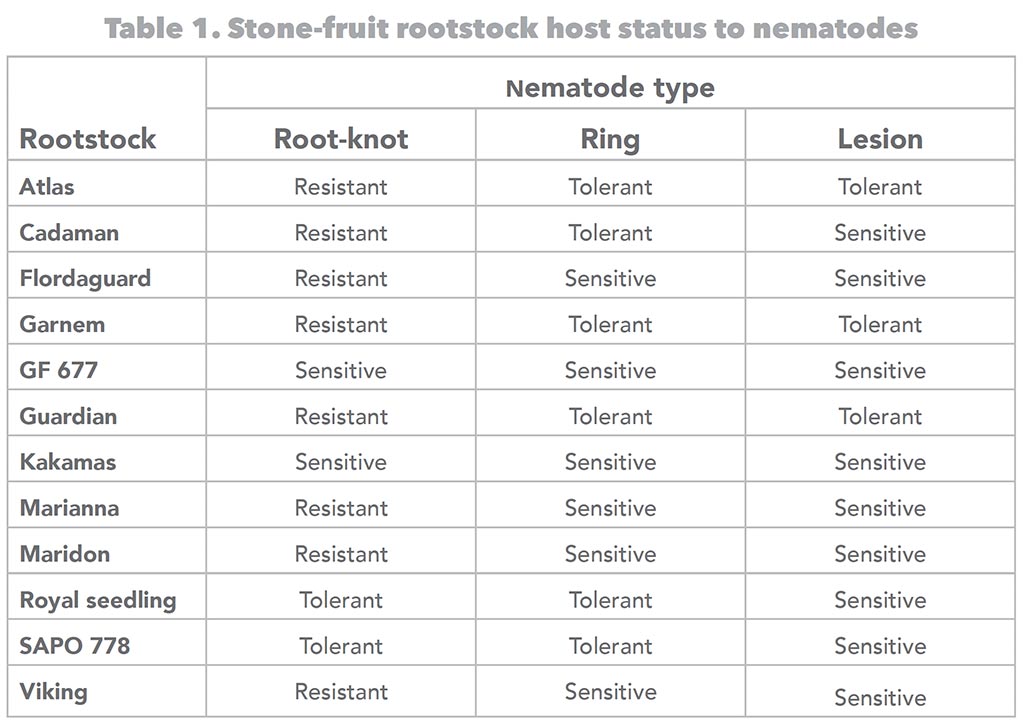 Safj Nematode Risk Table 1