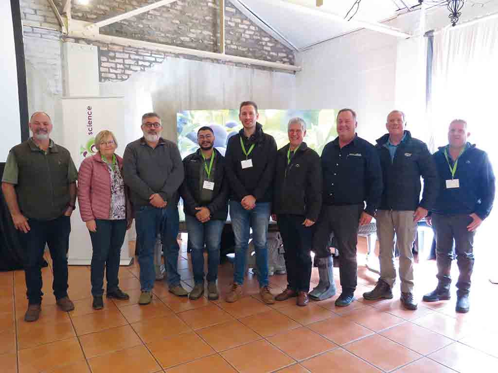 Safj Spoilt For Choice Group