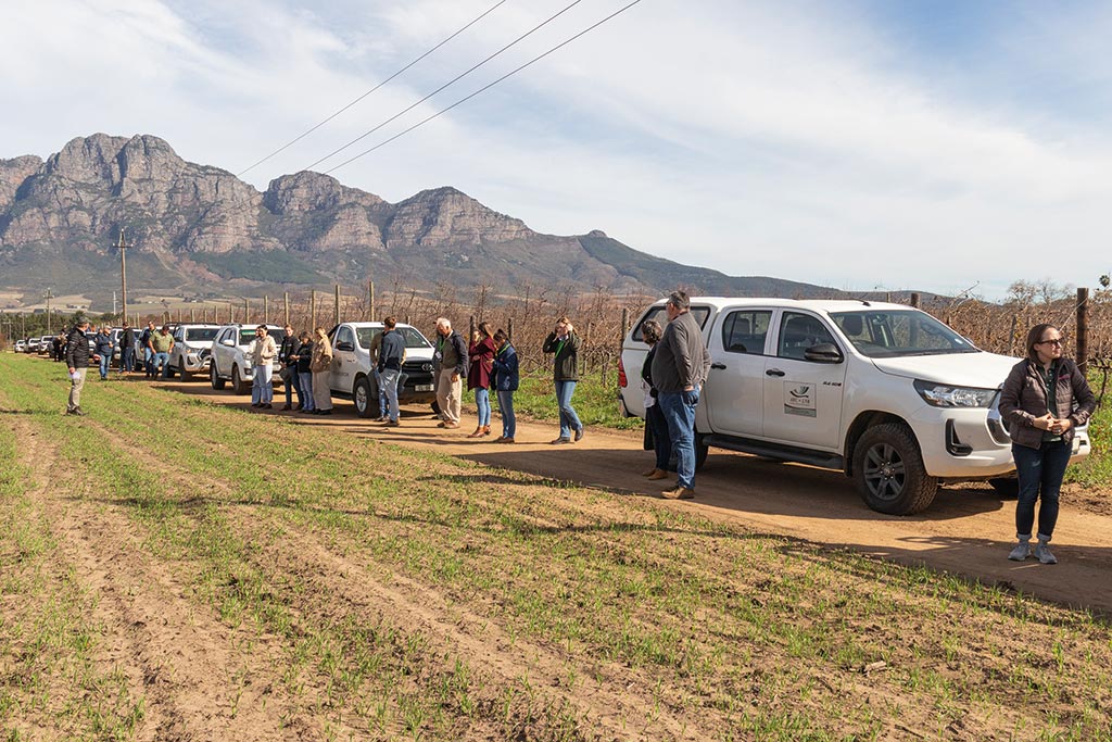 Safj Stone Fruit Day Convoy