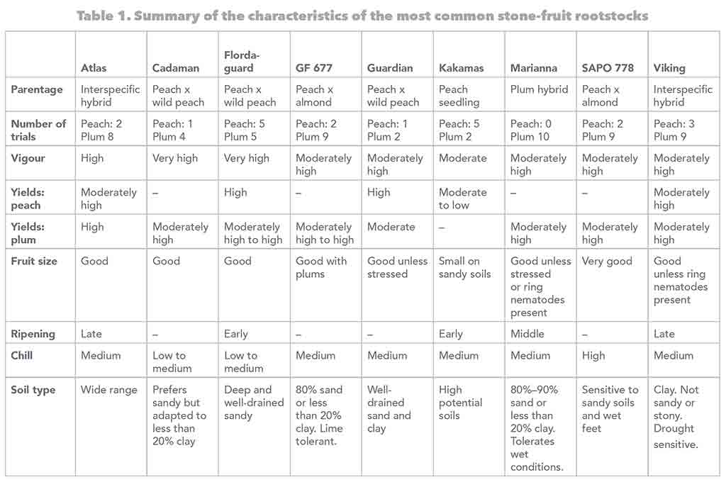 Safj Stone Fruit Rootstocks Table 1